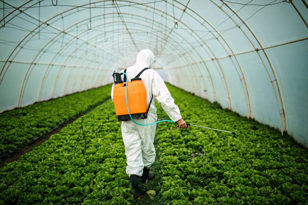 Best Best Pest Control Companies  in Seymour, WI